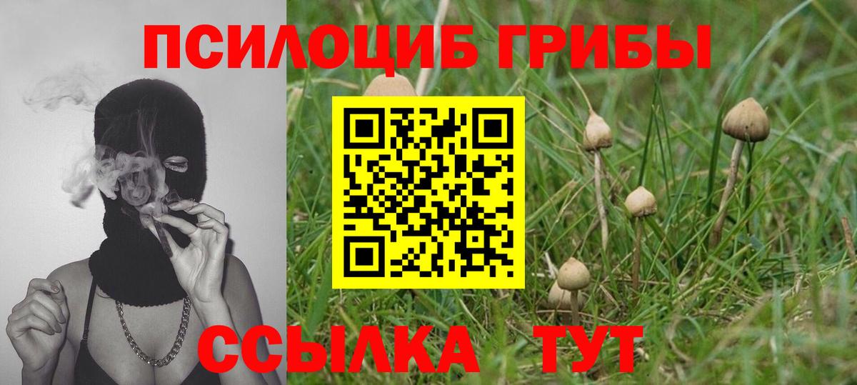 Псилоцибиновые грибы мухоморы Жигулёвск